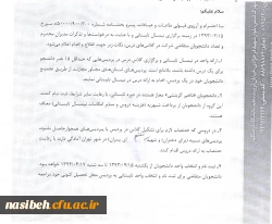 ترم تابستان