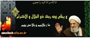 حضرت آیت الله مهدوی کنی دعوت حق رالبیک گفت . 2