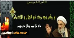 حضرت آیت الله مهدوی کنی دعوت حق رالبیک گفت . 2