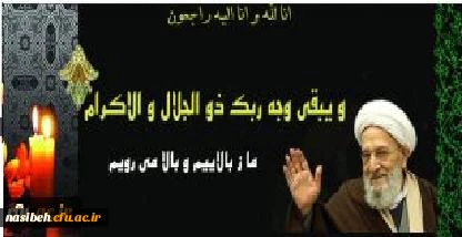 حضرت آیت الله مهدوی کنی دعوت حق رالبیک گفت . 2