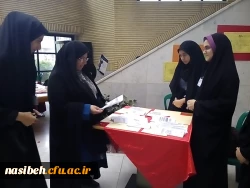 فعالیت های کانون ورزش درروز چهارم از هفته تربیت بدنی 29/7/93 3