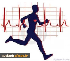 اولین دوره تئوری کلاس مربیگری آمادگی جسمانی  2