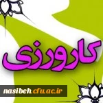 دستورالعمل کارورزی جهت اساتید  2