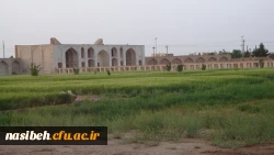 اردوی سه روزه ی علمی –سیاهتی به شهر زیبا و تاریخی یزد 5