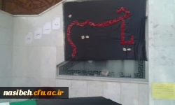 مراسم هفته تربیت بدنی  3