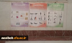 مراسم هفته تربیت بدنی  4