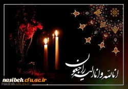 پیام تسلیت  2