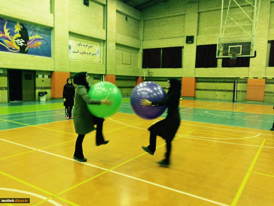 برگزاری جشنواره بازی های بومی محلی  7