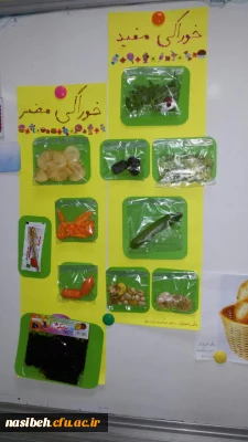 نمایشگاه رسانه های آموزشی غیردیجیتال