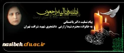 کل من علیها فان و یبقی وجه ربک ذو الجلال و الاکرام:

پیام تسلیت ضایعه ناگهانی در گذشت دانشجوی شهید شرافت تهران 2