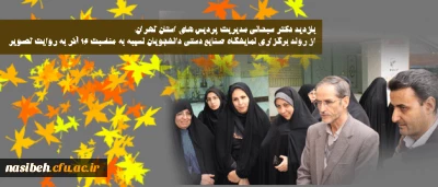 بازدید دکتر سبحانی مدیریت پردیس های استان تهران:

از روند برگزاری نمایشگاه صنایع دستی دانشجویان نسیبه به مناسبت 16 آذر به روایت تصویر