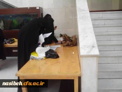 هم اکنون

برگزاری مصاحبه تکمیل ظریفت در نسیبه  به روایت تصویر 3