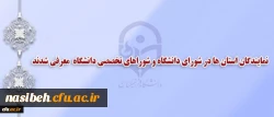 انتخاب نمایندگان استان ها در شورای دانشگاه و شوراهای تخصصی دانشگاه 2