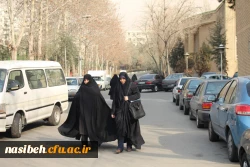 ثبت نام دانشجویان ورودی جدید متمرکز در سال تحصیلی 96-95 انجام شد. 12