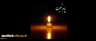 کل نفس ذائقه الموت

بازگشت همه بسوی اوست