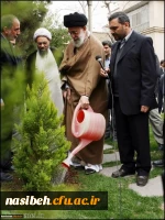 15اسفند ماه روز درخت کاری