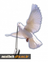 شهیدان زنده اند