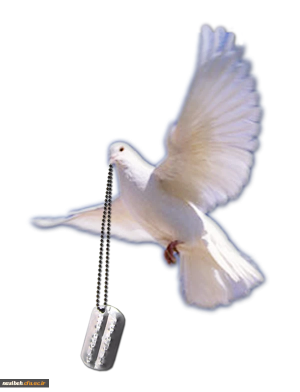 شهیدان زنده اند