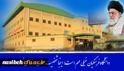 رهبریو نسیبه