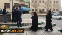 درخت کاری به رویت تصویر 2