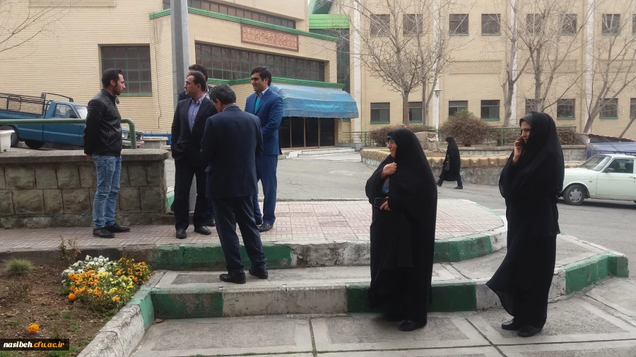 درخت کاری به رویت تصویر 3