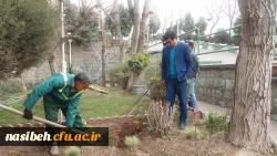 درخت کاری به رویت تصویر 4