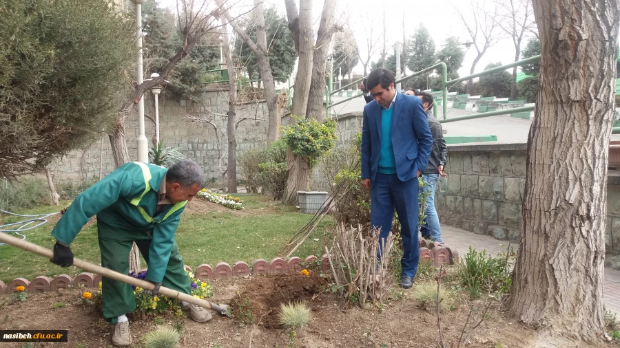 درخت کاری به رویت تصویر 4