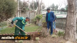 درخت کاری به رویت تصویر 5