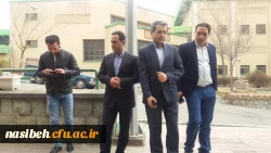 درخت کاری به رویت تصویر 6