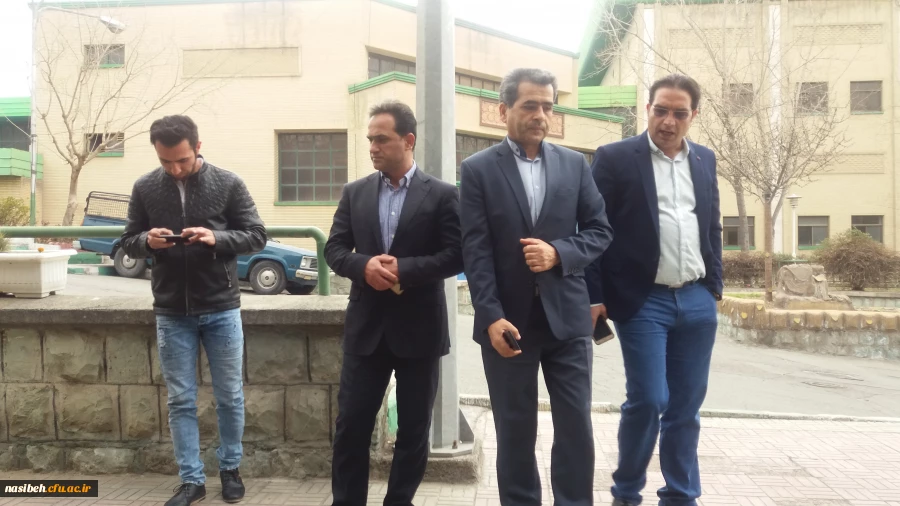 درخت کاری به رویت تصویر 6