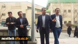 درخت کاری به رویت تصویر 7