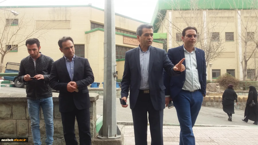 درخت کاری به رویت تصویر 7