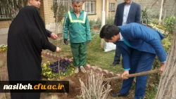 درخت کاری به رویت تصویر 8