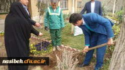 درخت کاری به رویت تصویر 9