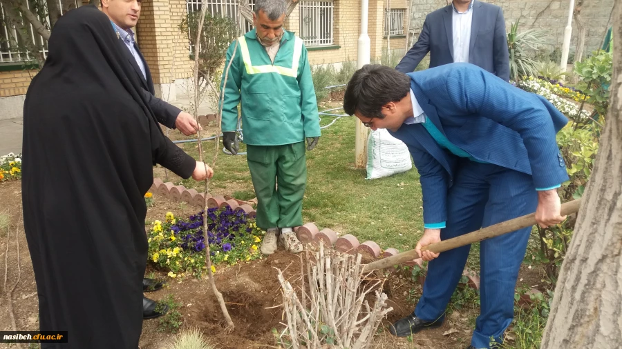 درخت کاری به رویت تصویر 9