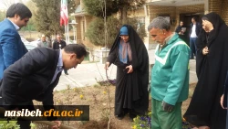 درخت کاری به رویت تصویر 10