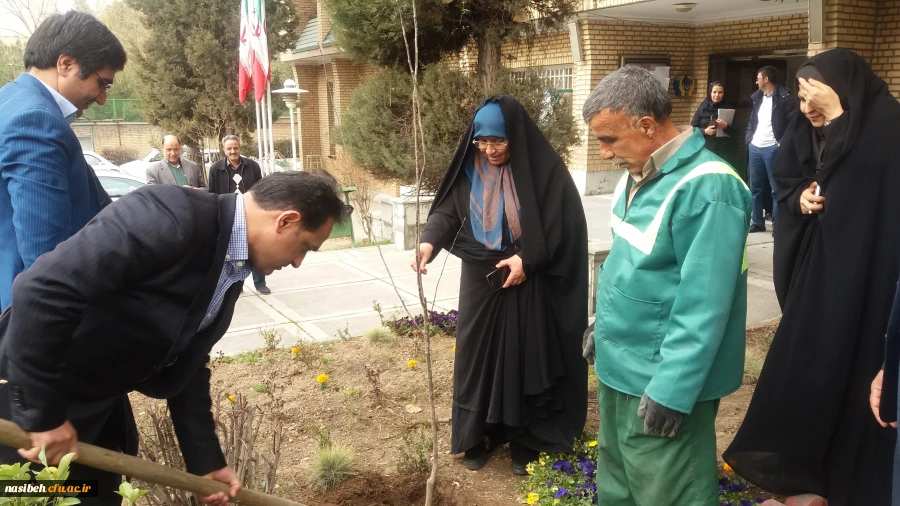 درخت کاری به رویت تصویر 10