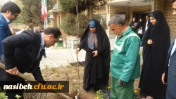 درخت کاری به رویت تصویر 11