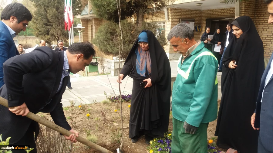 درخت کاری به رویت تصویر 11