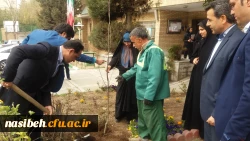 درخت کاری به رویت تصویر 12