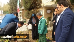 درخت کاری به رویت تصویر 13