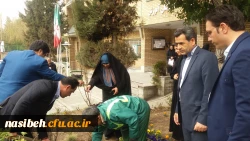 درخت کاری به رویت تصویر 14