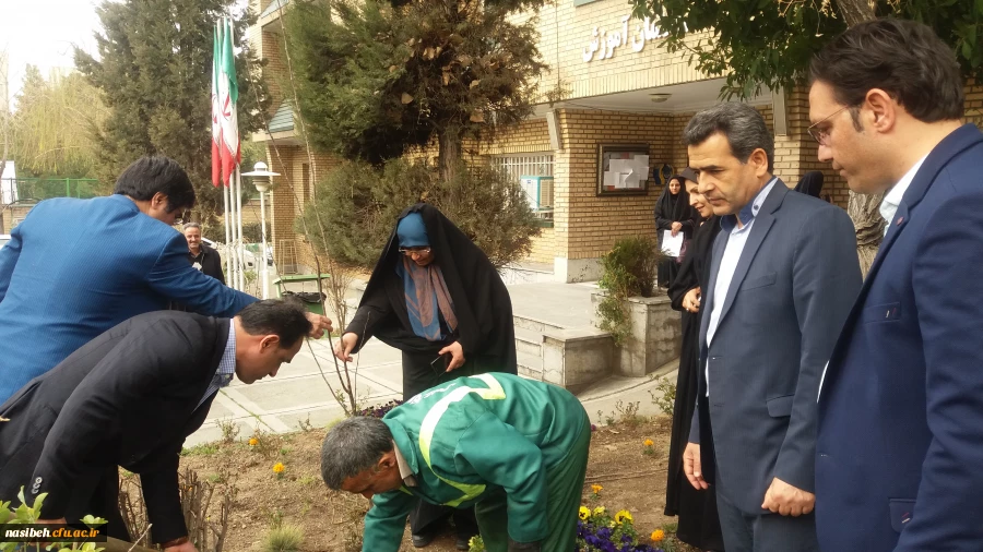 درخت کاری به رویت تصویر 14