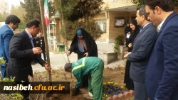 درخت کاری به رویت تصویر 15