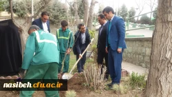 درخت کاری به رویت تصویر 16