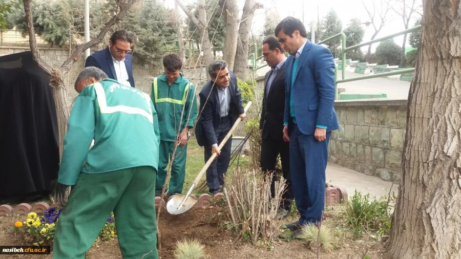 درخت کاری به رویت تصویر 16