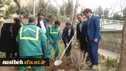 درخت کاری به رویت تصویر 17