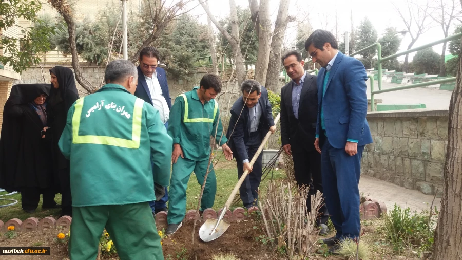 درخت کاری به رویت تصویر 17