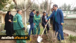 درخت کاری به رویت تصویر 18