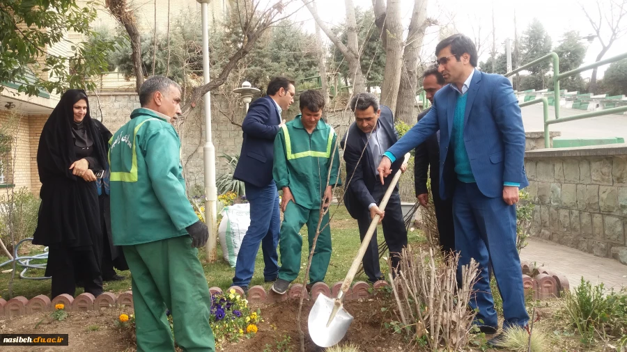 درخت کاری به رویت تصویر 18